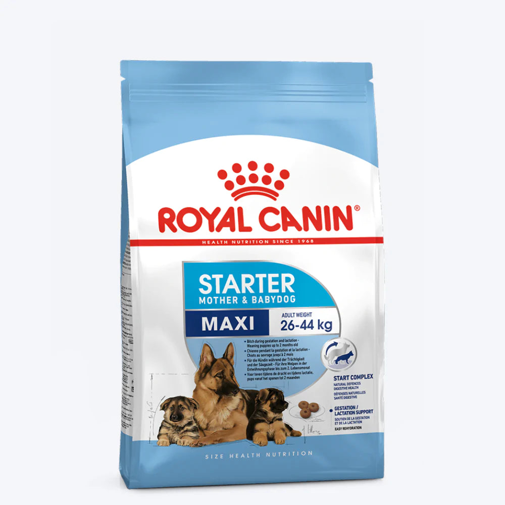 Royal Canin Maxi Starter Dry Dog Food